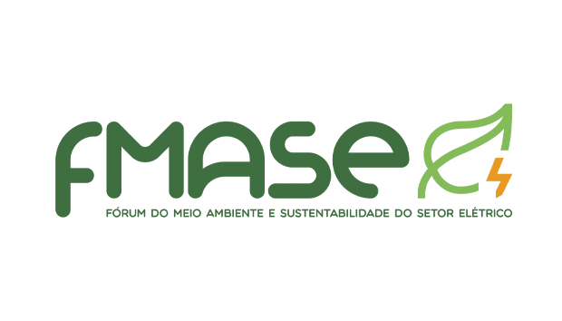 Logo FMASE